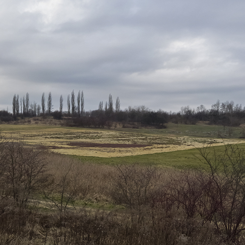 Guided tour of the site of the former German labor and concentration camp in Kraków – KL Plaszow