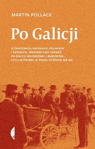Po Galicji Martin Pollack